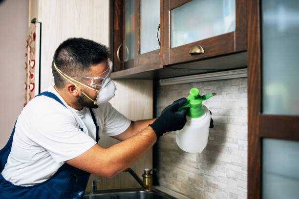 Best Pest Inspection Near Me  in Wrightsville Beach, NC