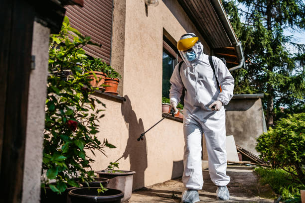 Best Affordable Pest Control Services  in Wrightsville Beach, NC