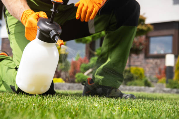 Best Exterminator Services  in Wrightsville Beach, NC