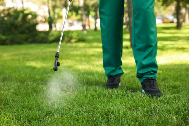 Best Pest Prevention Services  in Wrightsville Beach, NC