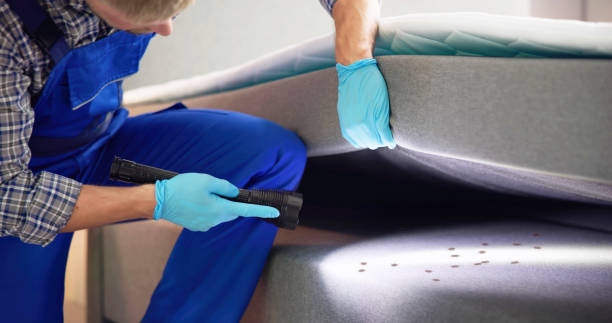 Best Termite Control Services  in Wrightsville Beach, NC
