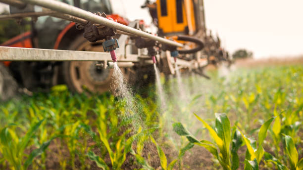 Best Mosquito Control Services  in Wrightsville Beach, NC